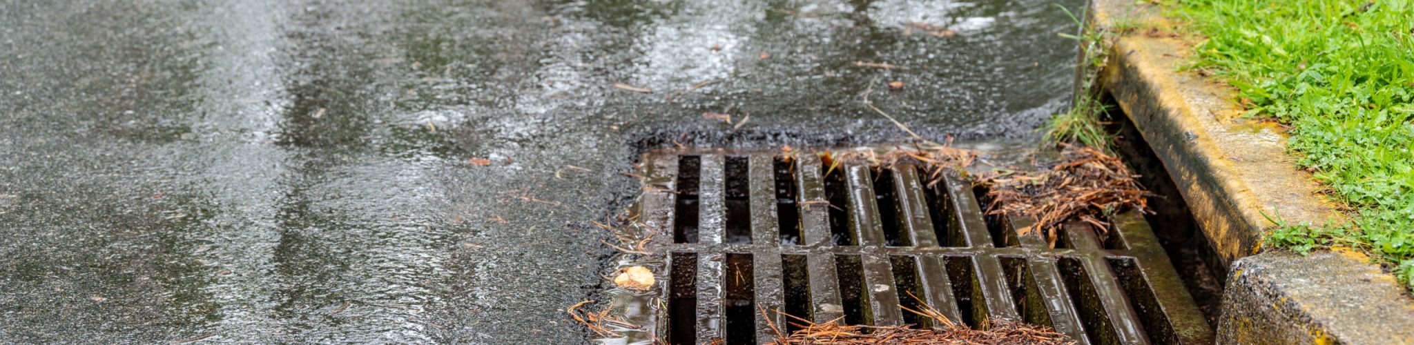 Metal storm drain during a rain event with leaves and needles starting to buildup around the edges. High quality photo